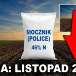 Cena Mocznik Police listopad 2025 – gdzie najtaniej?