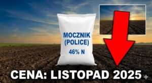Cena Mocznik Police listopad 2025 – gdzie najtaniej?