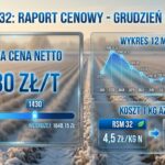 Cena RSM 32 w grudniu 2025: gdzie najtaniej? Raport