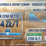Cena Polifoska 6: Grudzień 2025 – gdzie najtaniej?
