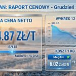 Cena MegAN grudzień 2025: gdzie najtaniej? Raport